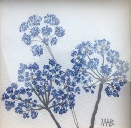 Cow Parsley in Blue