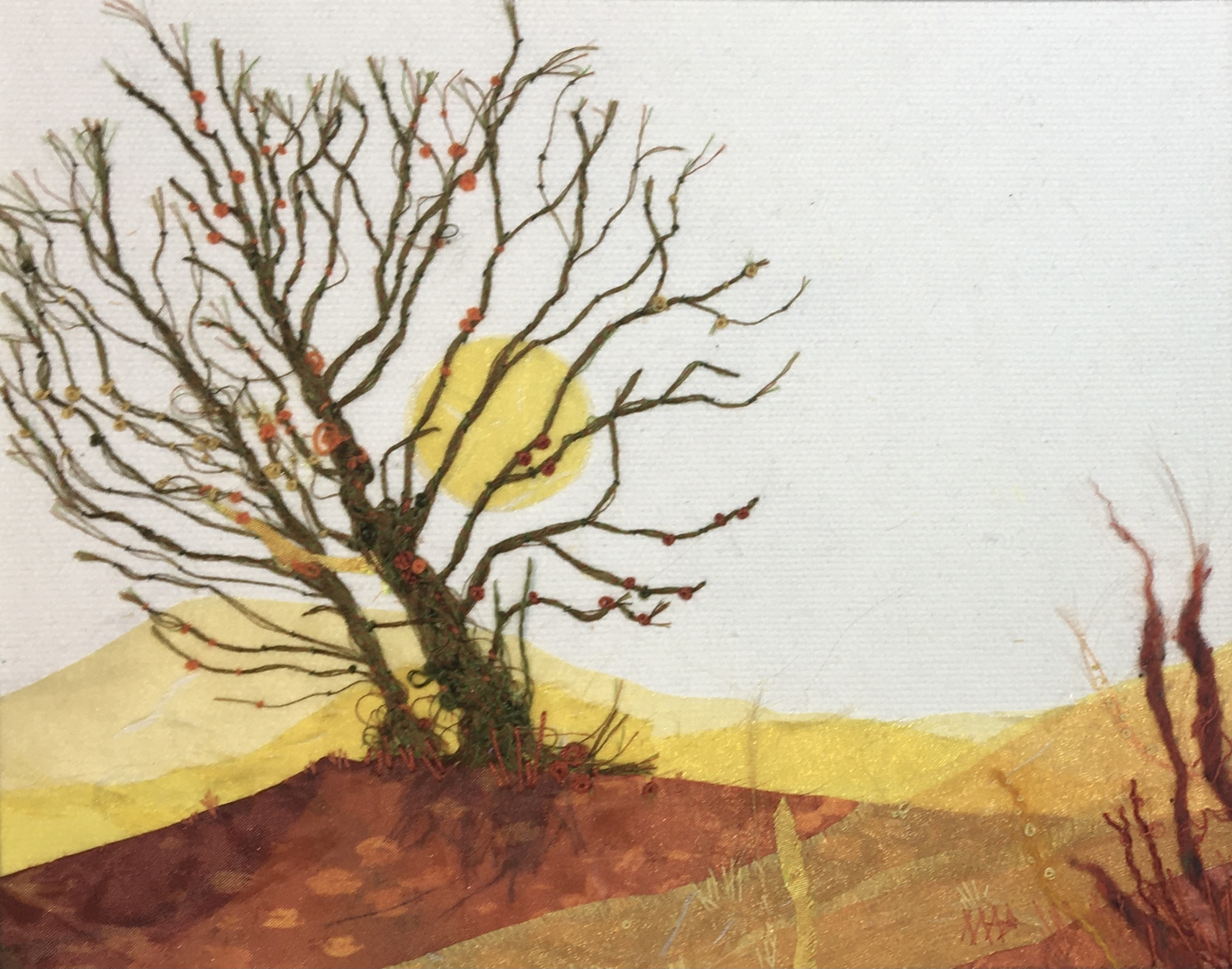 Autumn Sun Lighting
